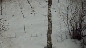 БИНОКЛЬ-БШ10х50 ЗОМЗ 93-год/вып,СУПЕР-КАРТИНКА!))