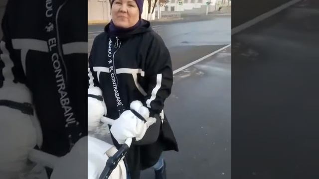 Коляска Reindeer City Lily (цвет L-1) смотреть онлайн