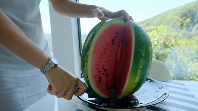 родиола розовая! сыр филадельфия! арбуз! гвоздика! облепиха смотреть онлайн