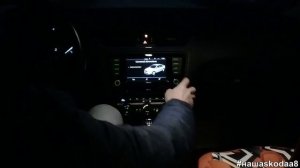 Skoda: АИ-100 VS АИ-95 Лето, Осень, Зима (2020)