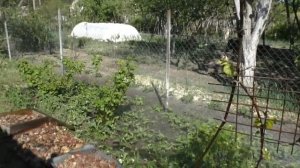 9 Мая а мы на Даче /Покупки Одежды/ Дачные Новости