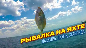 Рыбалка на яхте в Черном море. Ласкирь, окунь, ставрида, шашлык и дельфины