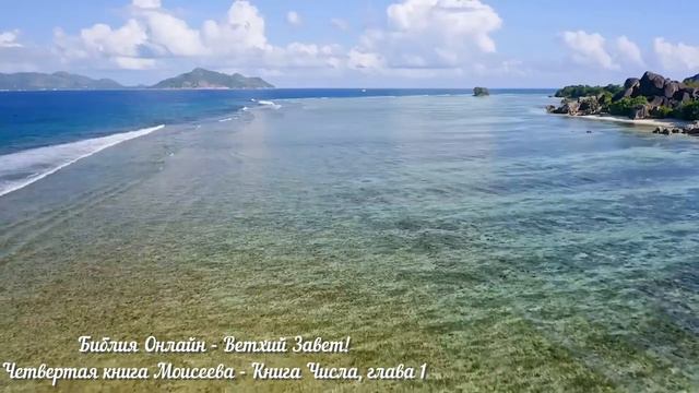 Библия Онлайн - Книга Числа, глава 1 смотреть онлайн