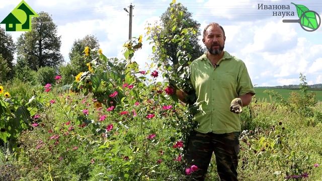 ПЛОДОВЫЙ САД ИЗ КОСТОЧЕК. Как самому вырастить урожайные деревья из обычных косточек? Очень просто! смотреть онлайн