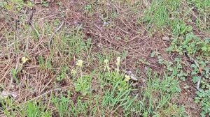 Погода Кировск Мурманской. обл. 3.05.2022