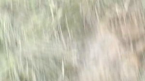 Пермский край Чусовское озеро 2021