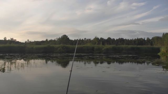 На рыбный пирог наловил! #266 смотреть онлайн