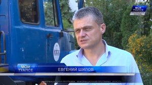 В городе осуществляется спил сухих деревьев