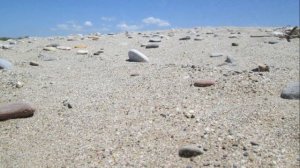 11-Бирюзовый бриз клип