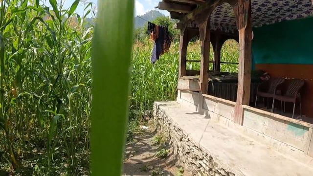 Unbelievable Mountain Village Life Pakistan in Kashmir | Ancient Culture | Stunning Pakistan смотреть онлайн