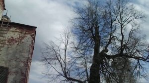 Храм в селе Болотново. Родниковский район. Ивановская область