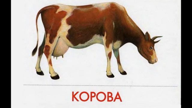 Звуки животных для самых маленьких слушать с картинками.