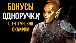 Skyrim - ГАЙД с 1-го Уровня. Лучшие Бонусы Одноручки в игре Скайрим + Защита!