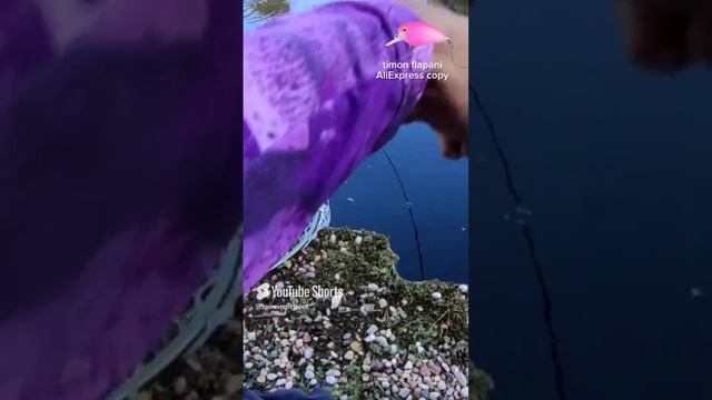 Timon Flapani AliExpress copy #fishing #troutarea