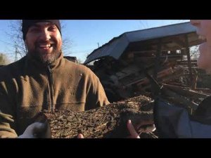 Дрова. 31.10.2021