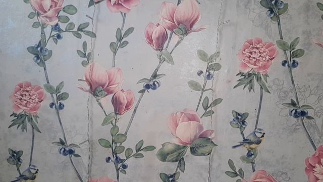 Купили кроссовки и рюкзаки.Покупка для дома! смотреть онлайн