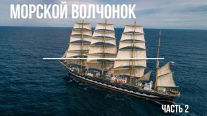 Морской Волчонок аудиокнига Томас Майн Рид часть 2
