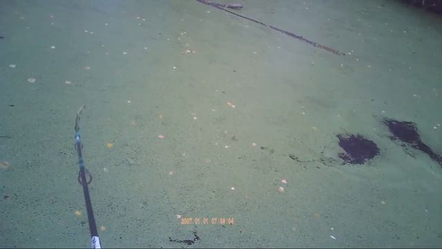 Ловля спиннингом некрупной щуки на мелководье в торфяных каналах,видео rybachil.ru смотреть онлайн