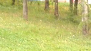 Парк дружба Самара ! Отдых с семьёй