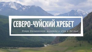 Безымянное озеро, Северо-Чуйский хребет, журавли и утки в Акташе