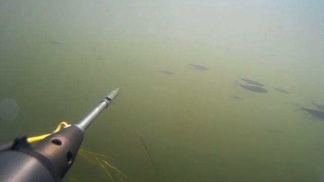 Селёдка и язь смотреть онлайн