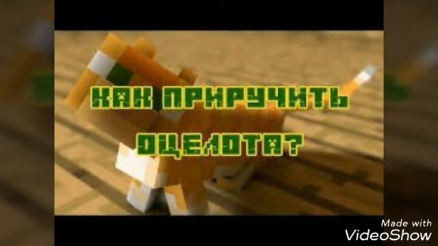 Приручил кота в Minecraft смотреть онлайн