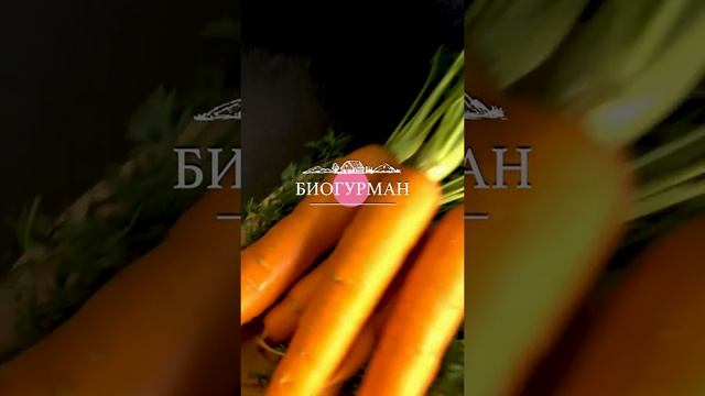 Морковь мытая смотреть онлайн