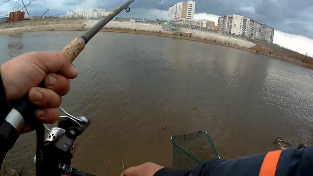 ловля леща на фидер, открытие сезона 2018 смотреть онлайн