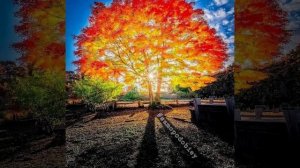 А эта песня про любовь