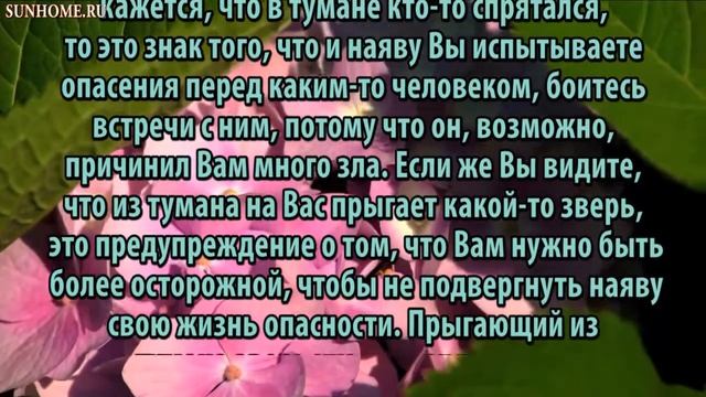 К чему снится Туман сонник, толкование сна смотреть онлайн