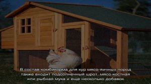 Комбикорм для кур мясо-яичных пород