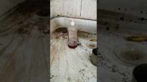 jbl jrx 125 и jbl 100 сабвуфер 18