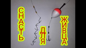 Лучшая снасть для ловли живца, верхоплавки и уклейки