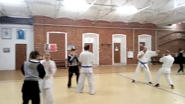 Федерация Фри Файт Каратэ. Санкт - Петербург