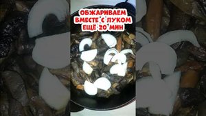ГРИБЫ?! Блюдо «ДАРЫ ПРИРОДЫ» из моховиков, маслят и подберёзовиков! Грибы жареные — рецепт МИКС?!