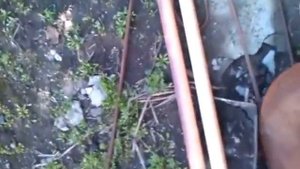 Прицеп своими руками для перевозки пчел