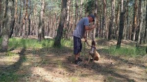 Собака не отдаёт мячик, палку, аппорт.