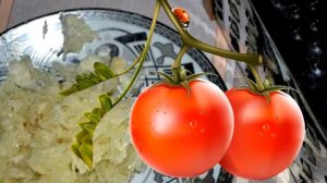 ПОМИДОРЫ ПОД СНЕГОМ С ЧЕСНОКОМ ЗАГОТОВКА НА ЗИМУ