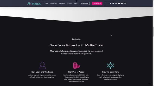 Moonbeam: Амбассадорская программа от А до Я. Обзор проекта и подача заявки. (Часть1) смотреть онлайн