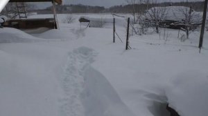 Начало весны, 2 марта 2021г.