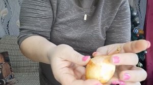 ЛУК ШАЛОТ или СЕМЕЙНЫЙ??? Секреты и Условия ХРАНЕНИЯ Лука ШАЛОТА!!!