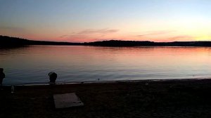 Соловей поет