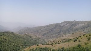 Шуробод 18072018