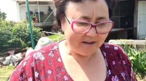 Любовь Киев - идеал ! ?Собираю клубнику , полем грядки