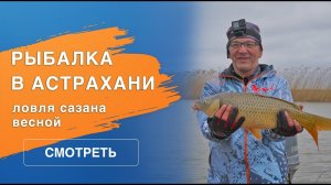Рыбалка в Астрахани: ловля сазана весной | 2023