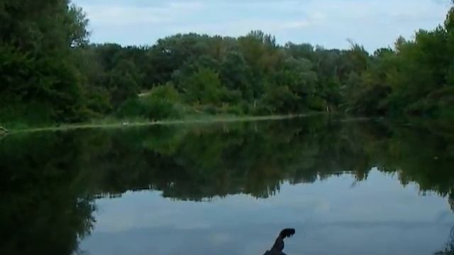 1 ЧАСТЬ ОТПЛЫТИЯ ОТ ЖИРНОВСКА 2016 смотреть онлайн