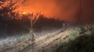 Природный пожар в Ростовской области перекинулся на село Александровка. Погибли два человека