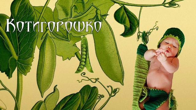 Котигорошко. Українська народна казка (аудіоказка для сну)