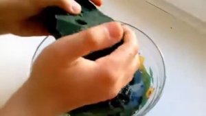 Губка для цветов ????