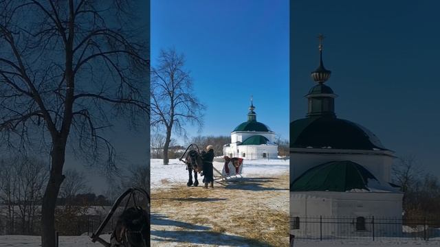 Как кормят лошадок в Суздале.